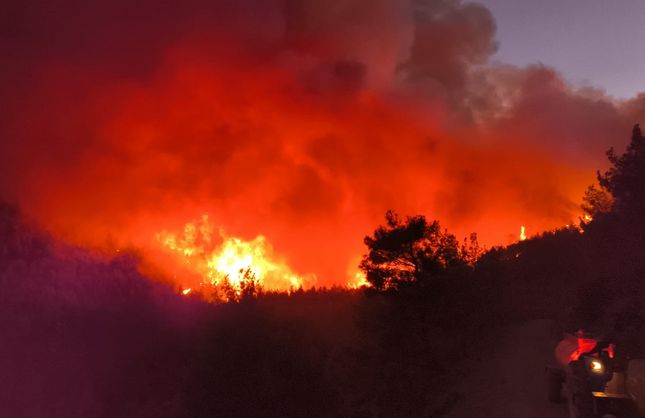 Hatay'da Orman Yangını: Müdahale Sürüyor