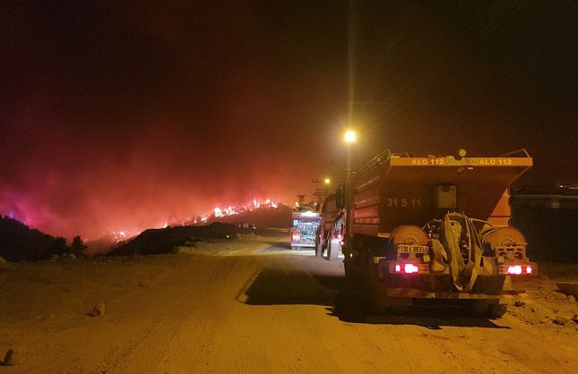 Hatay Hassa'da Orman Yangını: 540 Kişi Tahliye Edildi, Müdahale Sürüyor