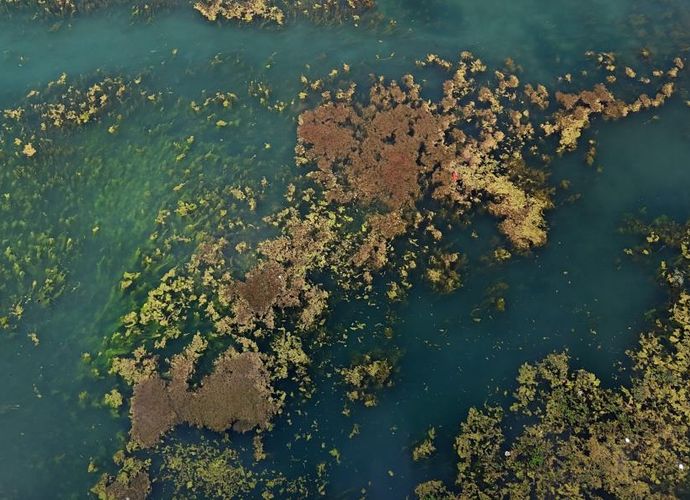 Adana’nın Kalbinde Çöp ve Koku Alarmı