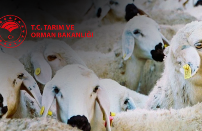 Cumhurbaşkanı'ndan kırsal kalkınmaya dev destek: 'Kırsalda Bereket' projesi başlıyor