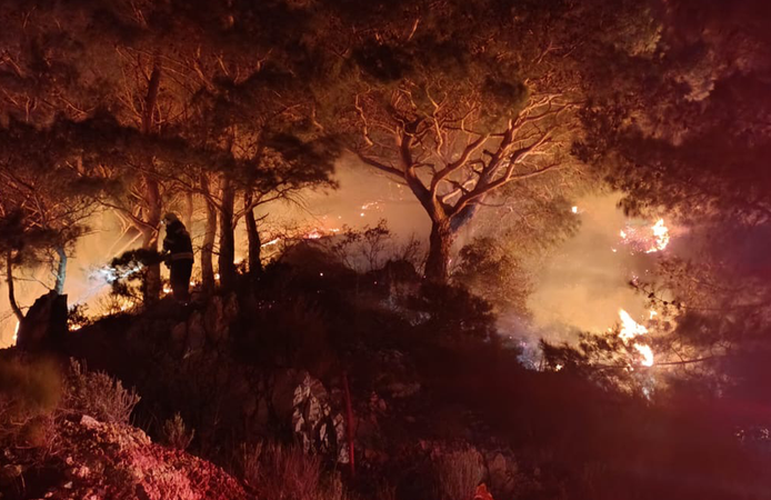 Bodrum’da ormanda çıkan yangın söndürüldü