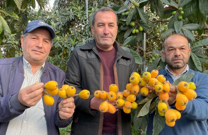 Yenidünya sezonu açıldı: İlk ürünler yurtiçi ve yurtdışına gidiyor