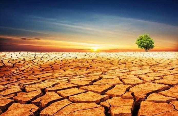 DAÇE ve Mersin Çevre Platformu’ndan acil çağrı