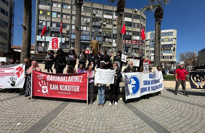 Edremit'te hayvanseverler sokak köpeklerinin ölümünü protesto etti