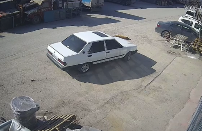 Yerde yatan köpek, otomobilin altında kaldı