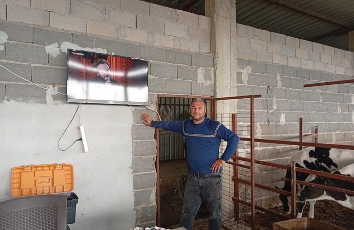 TRT Müzik kanalıyla süt verimini artırmaya çalışıyor