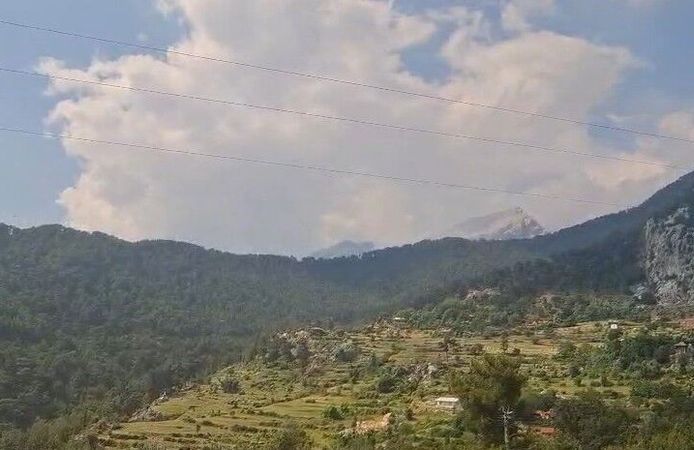 Yıldırım düştü, 2 hektarlık alan zarar gördü