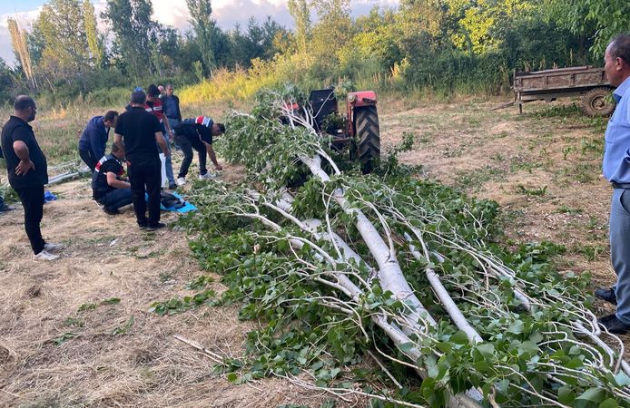 Kestiği ağacın altında kalan adam hayatını kaybetti