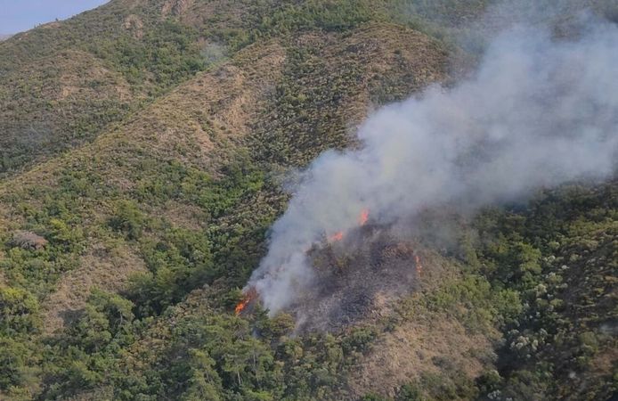 Marmaris'te ormana yıldırım düştü, yangın çıktı