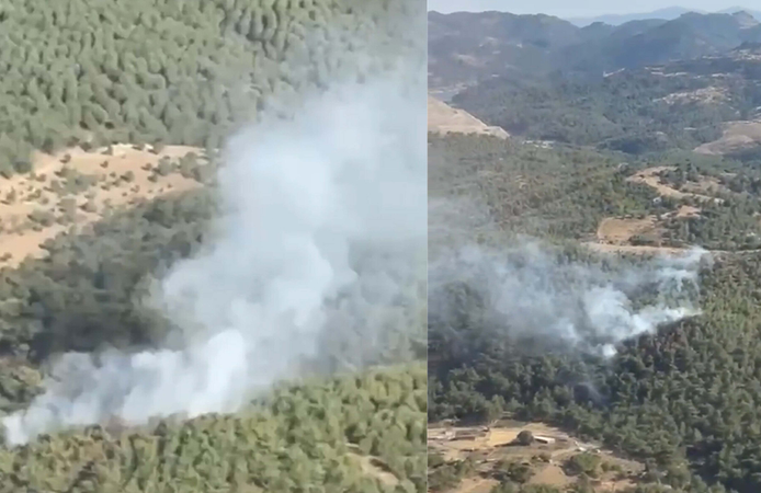 Balıkesir'de orman yangını