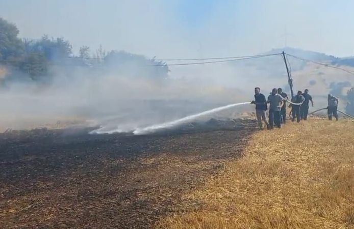 Balıkesir’deki arazi yangını kontrol altında