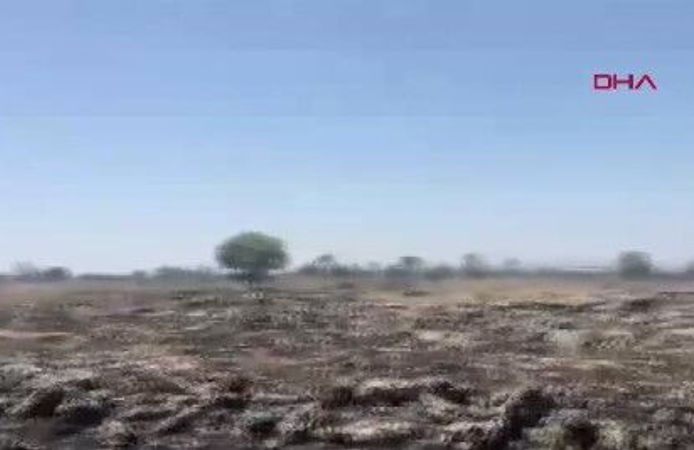 İki ilçede çıkan yangında 270 dönüm alan zarar gördü