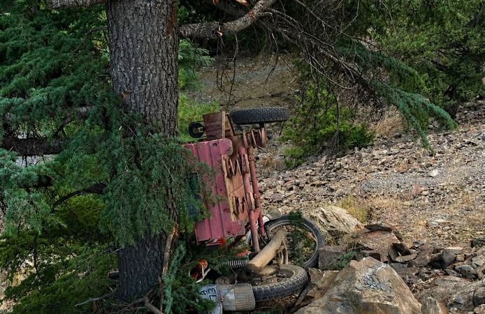 Motosikletiyle ağaca çarptı, hayatını kaybetti