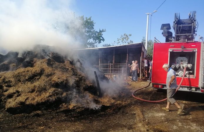 Edirne’de 500 saman balyası yandı