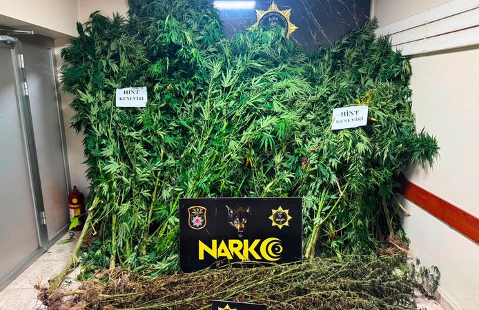 Sakarya'da 10 kilo esrar ve 50 kök Hint keneviri ele geçirildi