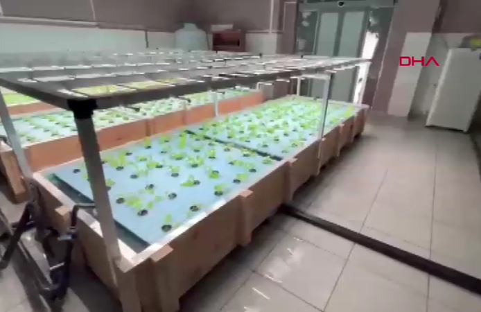 Balıkların atığı marula gübre oldu