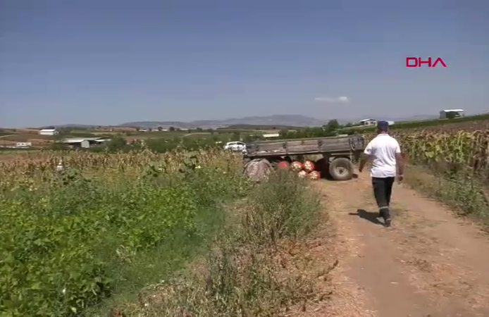 1 dönümle başladı, bin dönüme ulaştı