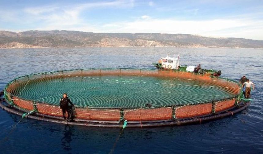 Mersin Kent Konseyi'nden Aydıncık'ta Planlanan Balık Çiftliklerine Tepki