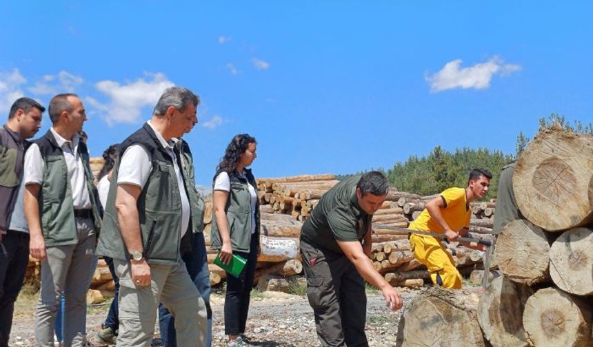 Bölge Müdürü Ataş Çamlıyayla'da
