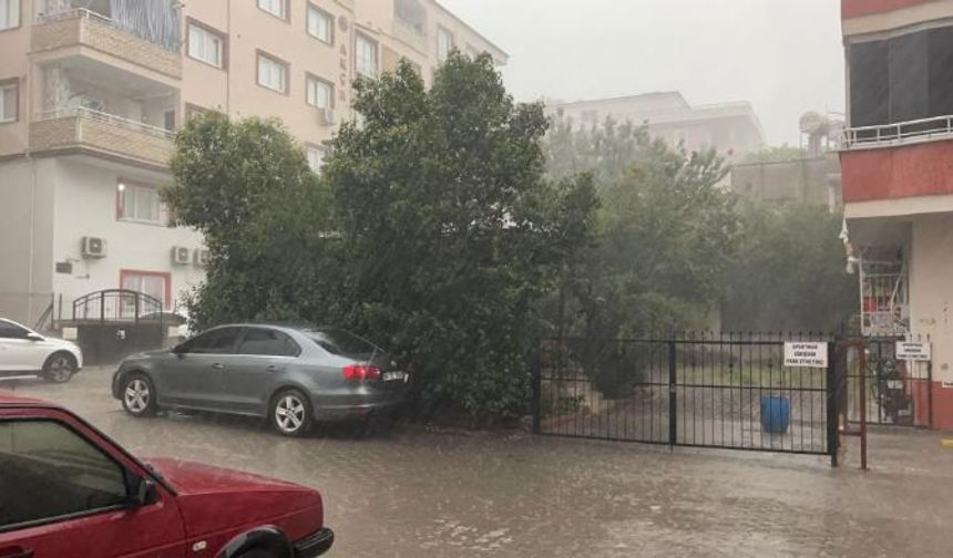 Osmaniye'de fırtına ağaçları kökünden söktü