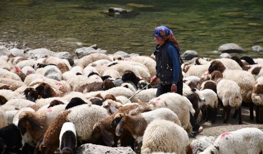 Bir çocuğun sessiz çığlığı: "Hiç oyuncağım olmadı"