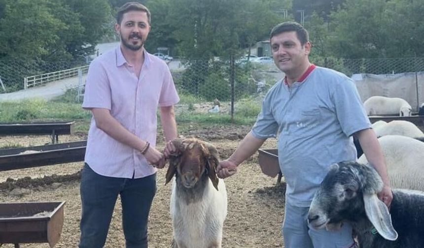 Mersin’de Kurbanlık Fiyatları Arttı, Satışlar Düşüşte