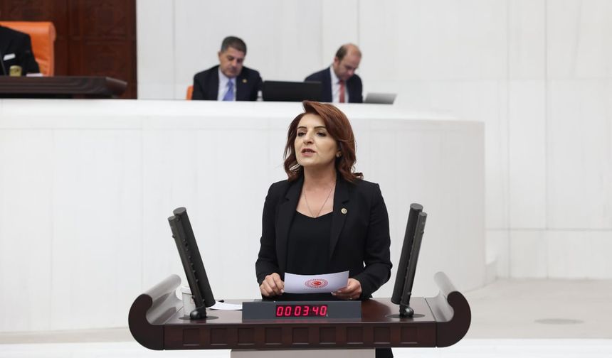 CHP'li Kış: “Mersin'in Artık Formüllere Değil, Somut Yatırımlara İhtiyacı Vardır”