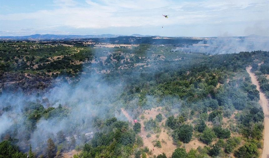 Edirne'deki Orman Yangını Kontrol Altına Alındı