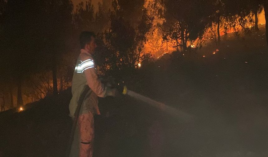 Anız Yakarken Ormanı Yaktılar