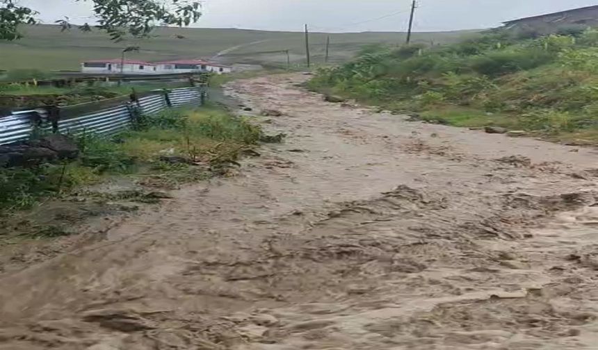 Göle’de Sağanak Sele Yol Açtı, Evleri Su Bastı