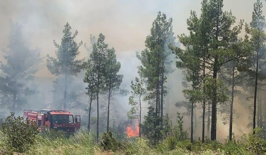 Mersin Gülnar'daki Orman Yangını Kontrol Altına Alındı