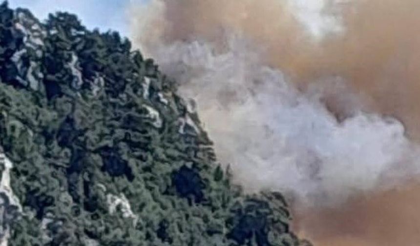 Mersin’de Orman Alarmı: Rüzgar Söndürmeyi Zorlaştırıyor