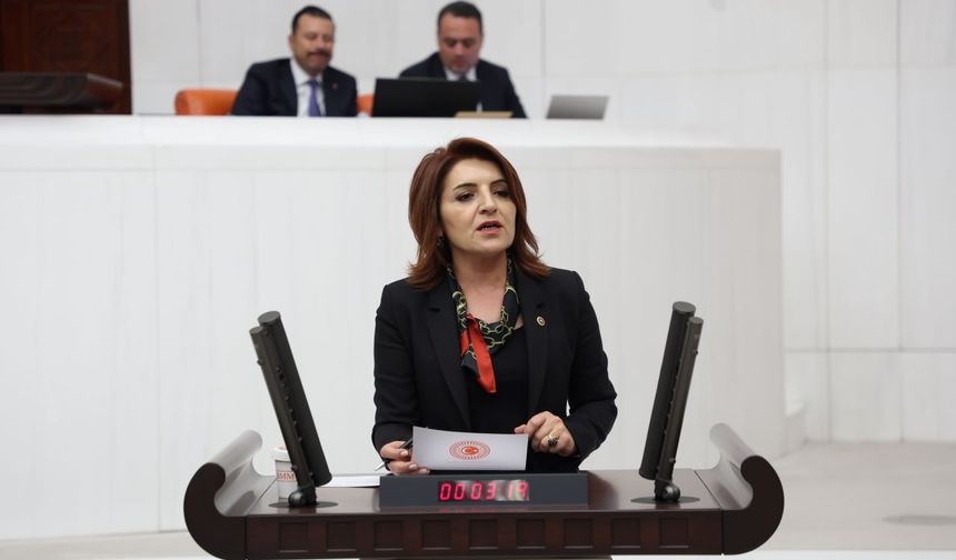 CHP’li Kış: “Emeklinin İkramiyesi Altın Gibi Eriyor, Hakları Gidiyor”