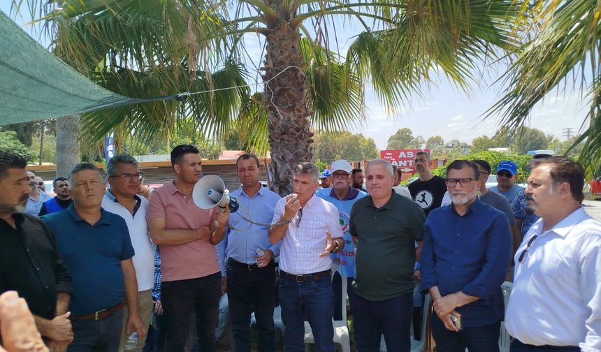 Toros Tarım İşçileri Grevde Kararlı: “Hak Yoksa İş Yok”