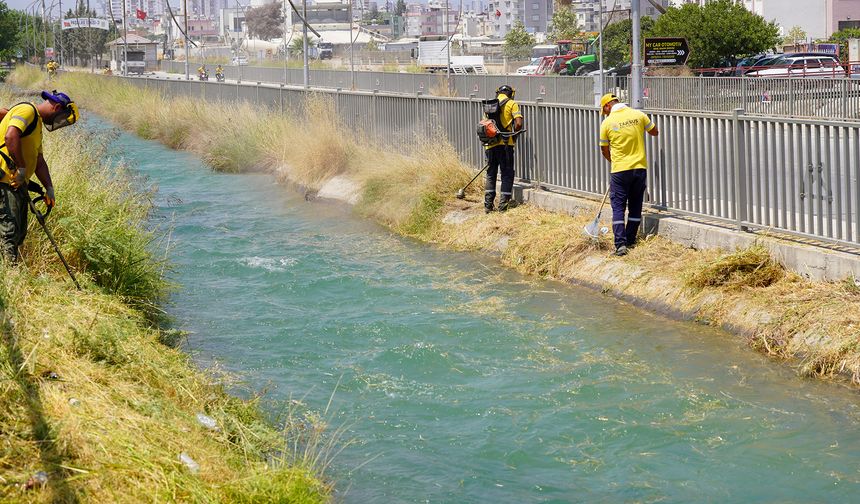 Tarsus'ta Kent Estetiği İçin Temizlik Seferberliği