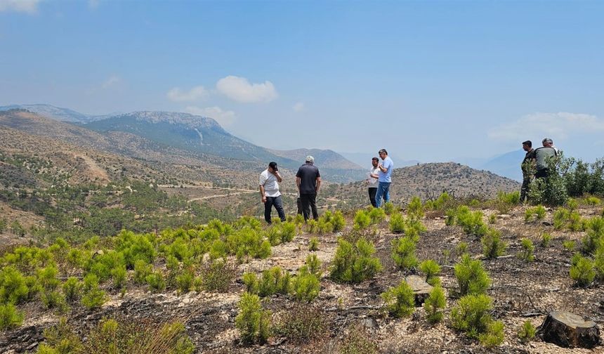 Mersin’de Doğal Gençleştirme Sahaları Denetlendi