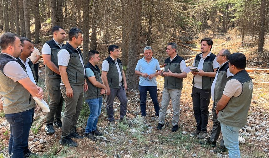 Mersin’de Orman Projelerine Hız Kazandırılacak