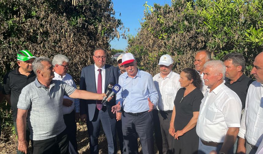 TZOB Genel Başkanı Bayraktar Tarsus’ta Uyardı: “Çiftçiye Acil Nakit Desteği Şart”