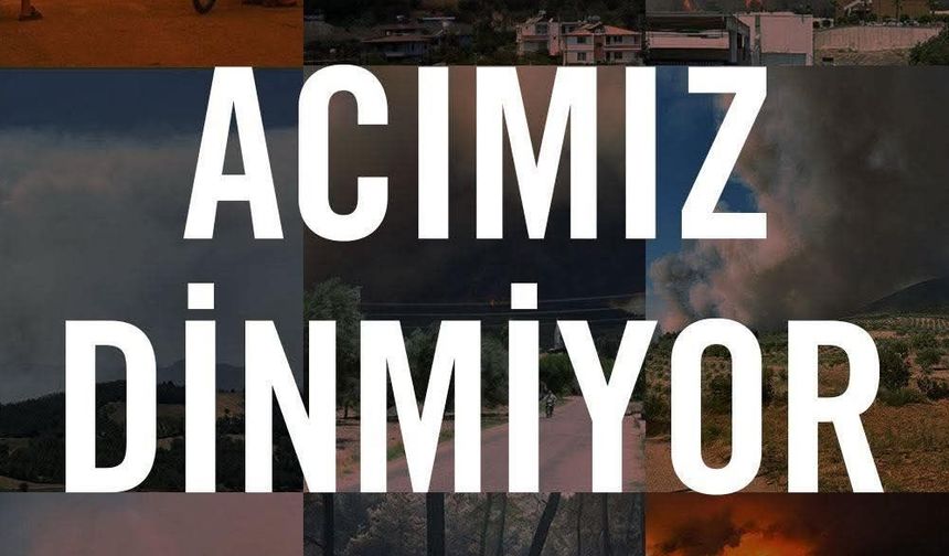 TEMA Mersin Sessiz Kalmadı: “Yanan Ormanlar Hepimizin Canını Yakıyor”