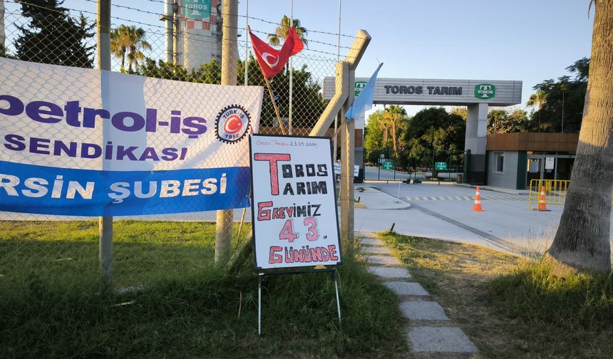 Toros Tarım'da Grev 43. Gününde: İşçiler Direnişte Kararlı