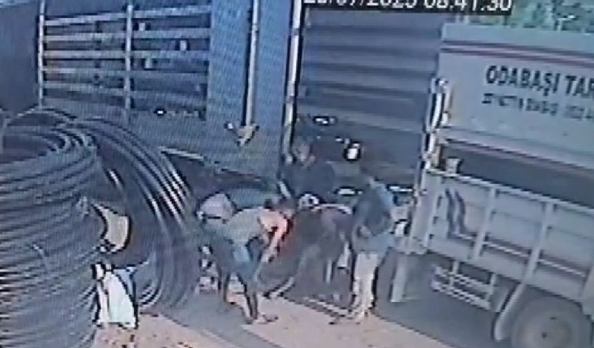 Mersin’de Tır ile Kamyonet Arasında Sıkışan Genç Hayatını Kaybetti