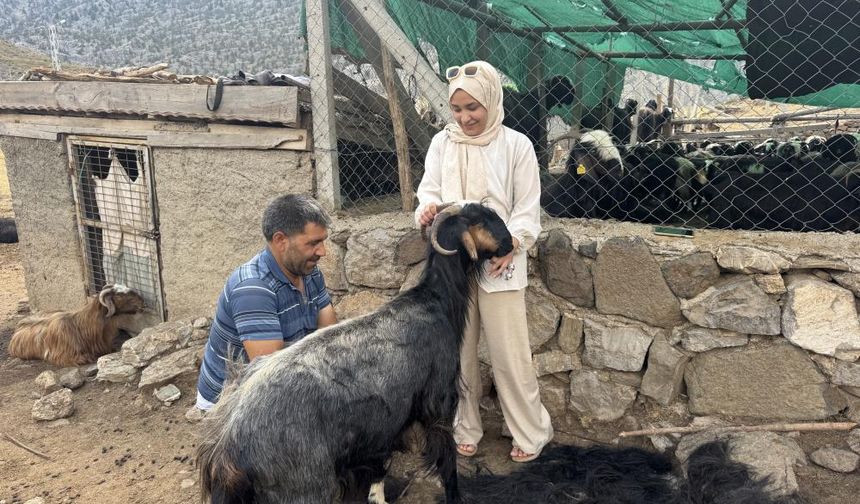 Torosların Asırlık Geleneği: Keçi Kıl Kırkımı Şöleni