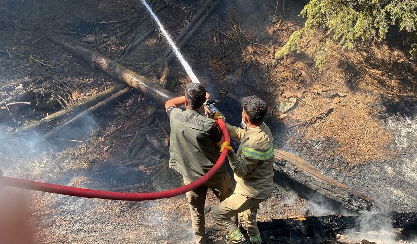 Kahramanmaraş Göksun’da Orman Yangınına Müdahale Sürüyor