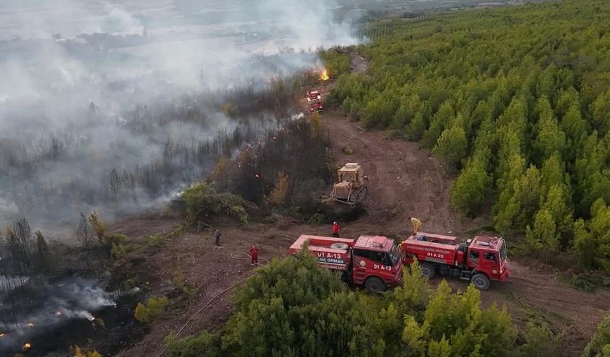 Sumbas İlçesinde Anız Yangını: Havadan ve Karadan Müdahale Edildi