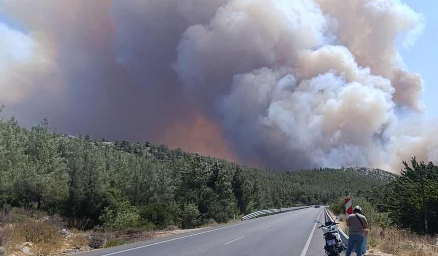 Silifke’de Orman Yangınına Müdahale