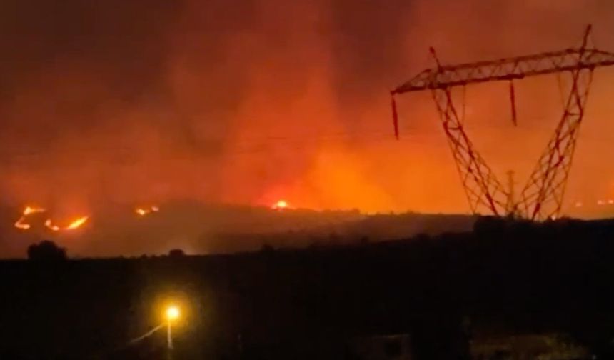 Manisa Alaşehir'de Orman Yangını: Hava ve Kara Müdahalesi Sürüyor