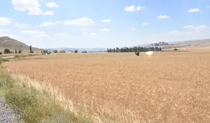 Kasım 2025’te Boş Araziler Üretime Kazandırılacak