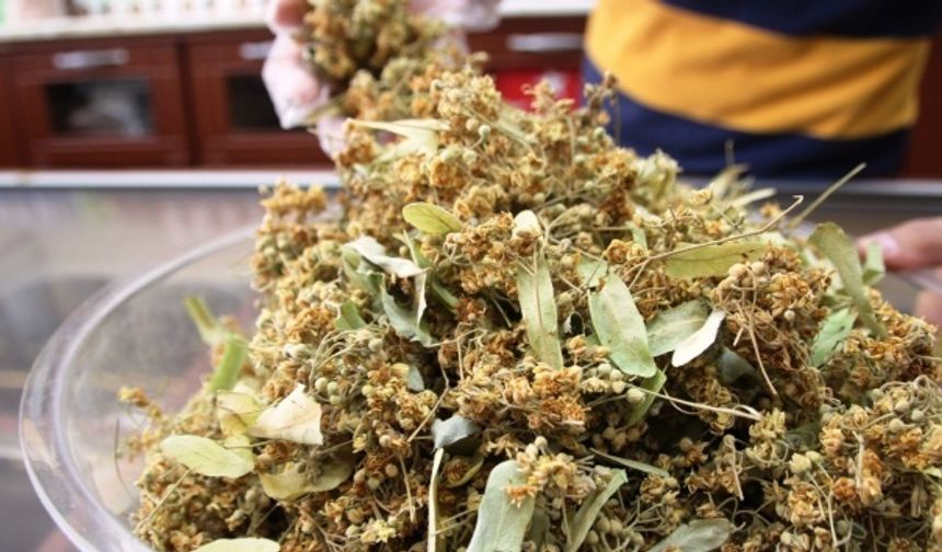 Mersin’de Mevsim Geçişiyle Bitki Çayı Talebi Arttı: Ihlamur Altınla Yarışıyor