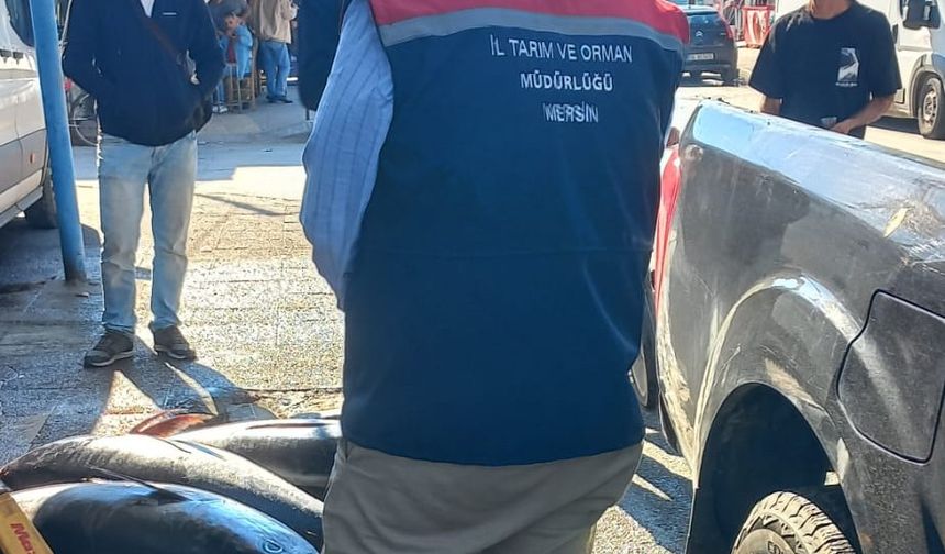 Mersin’de Kaçak Balığa El Konuldu, İşletmeye Ceza Kesildi