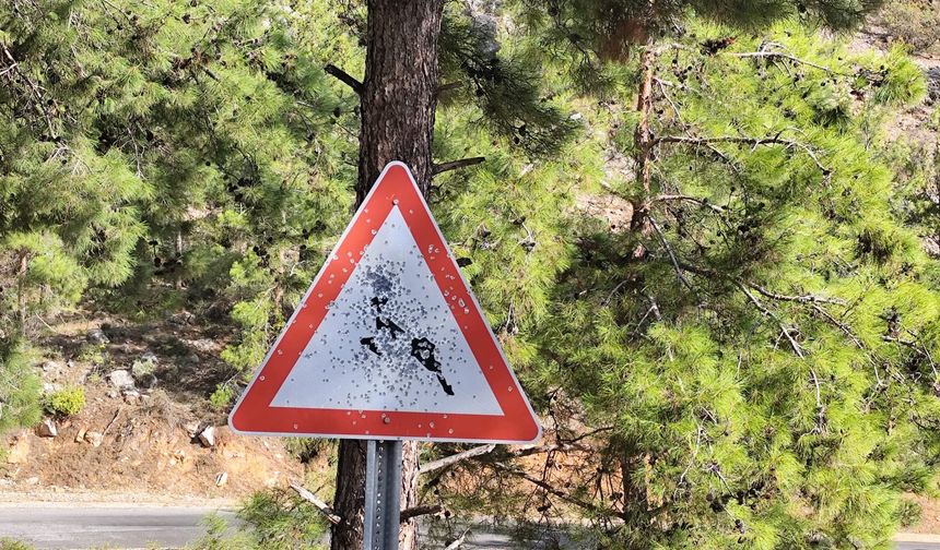 Bozyazı Yayla Yolunda Trafik Levhalarına Kurşunlu Saldırı